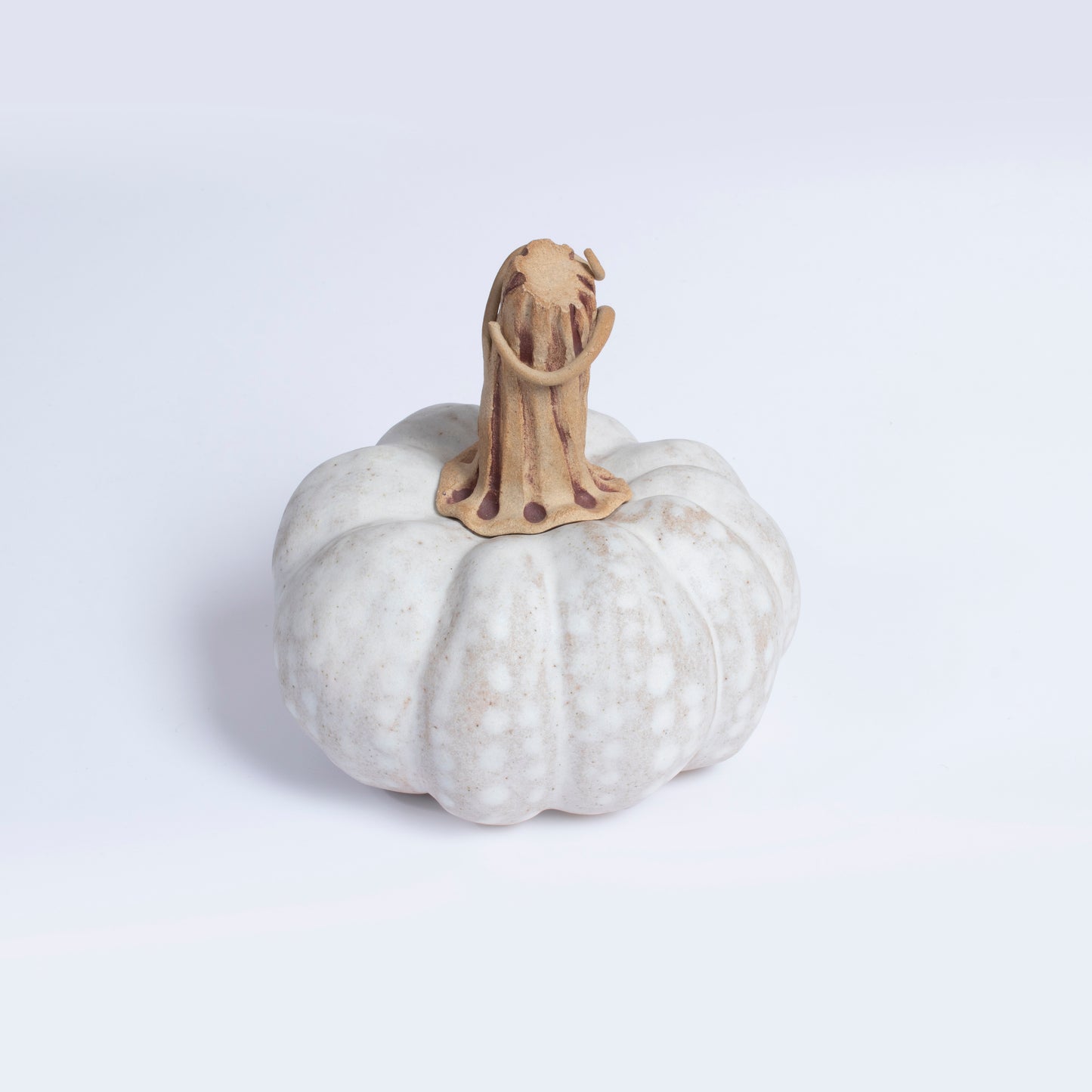Handmade Ceramic Pumpkin by Gerry Unsworth | Signed Studio Pottery
