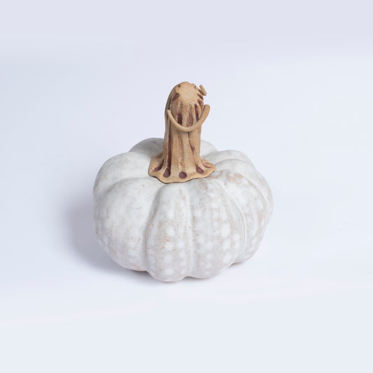 Handmade Ceramic Pumpkin by Gerry Unsworth | Signed Studio Pottery