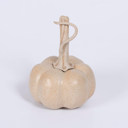 Handmade ceramic pumpkin by Gerry Unsworth, pale speckled cream glaze with tall twisted looping stalk, 10cm x 14cm, signed British studio pottery